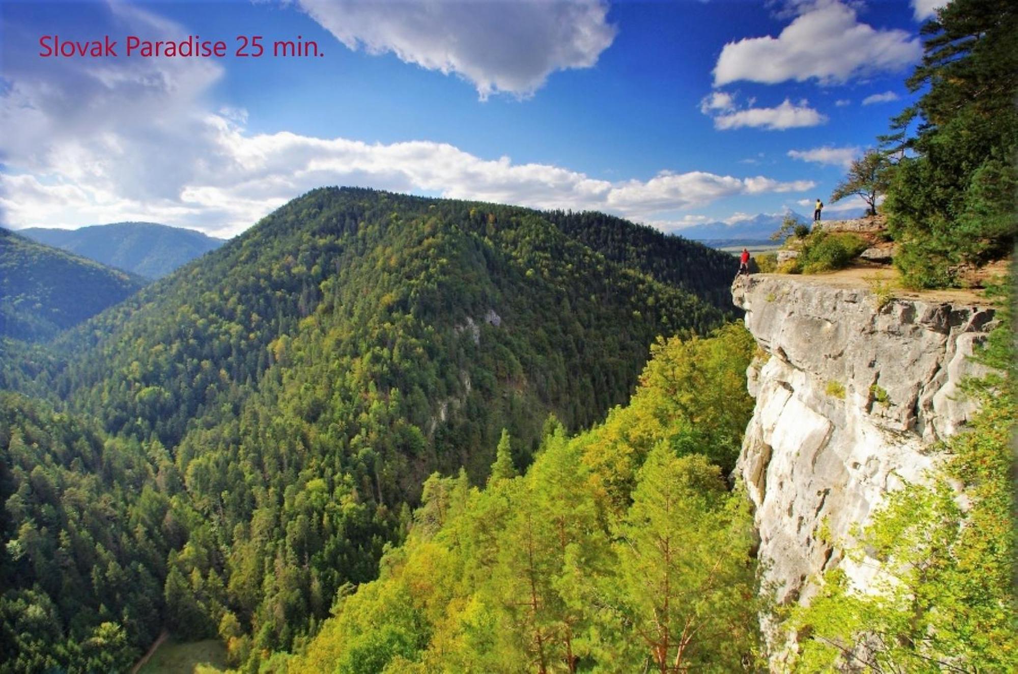 Tatrystay Cactus Premium Villa High Tatras Private Wellness Stara Lesna Exterior foto